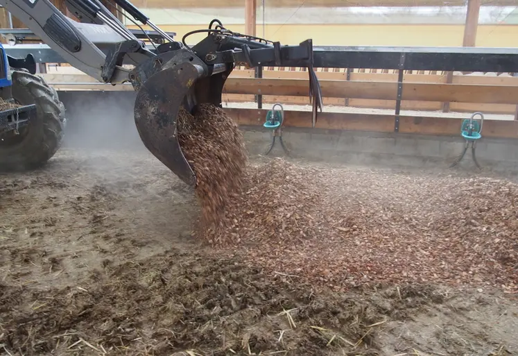 <em class="placeholder">Des plaquettes sont épandues à l'aide d'un tracteur dans une bergerie.</em>