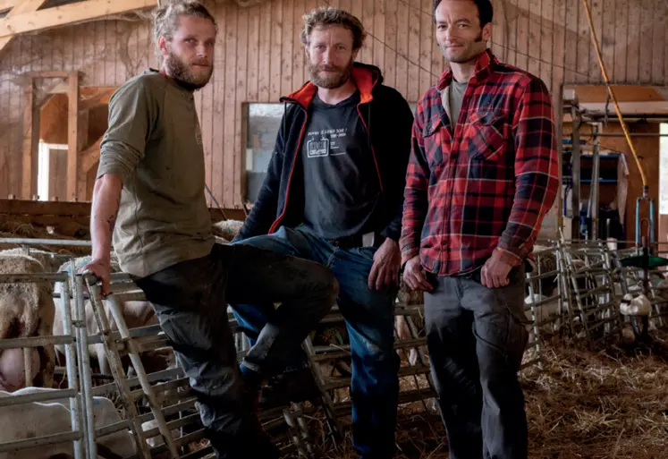 <em class="placeholder">Les trois associés de l'EARL posent dans la bergerie.</em>