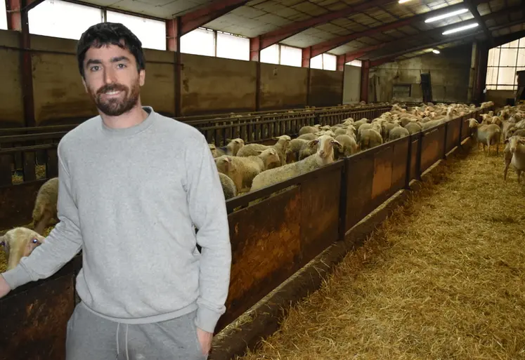 <em class="placeholder">Julien Cazottes dans sa bergerie.</em>