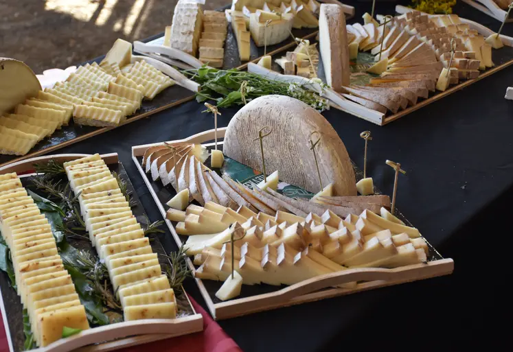 Un banquet de produits laitiers de brebis.