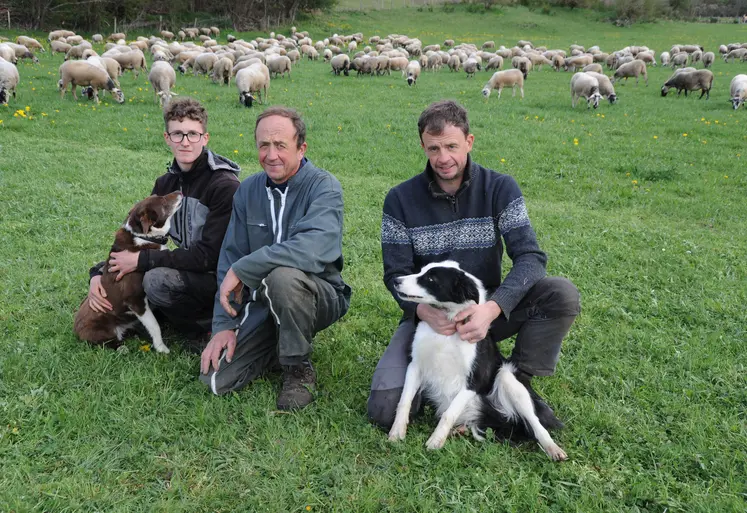 Trois hommes avec deux chiens, assis dans l'herbe, et des brebis dans le fond.