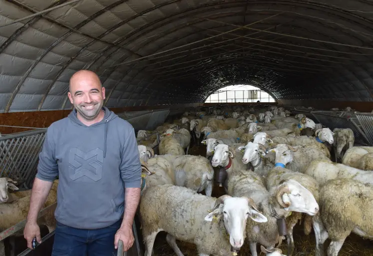 <em class="placeholder">Gaël martin, éleveur ovin pastoral, avec ses brebis sous un tunnel</em>