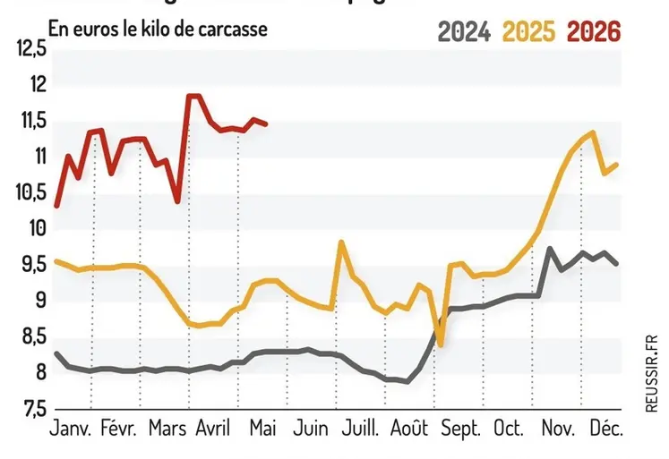 <em class="placeholder">Le cours de l'agneau au 1er trimestre 2026 est supérieur de 2,17 euros le kilo au 1er trimestre 2025. </em>