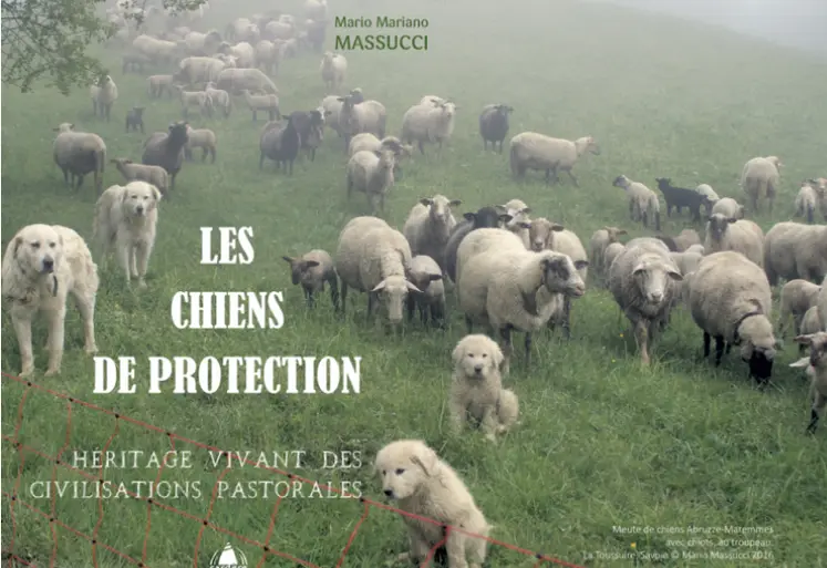 <em class="placeholder">Première de couverture du livre Les chiens de protection de Mario Mariano Massucci.</em>