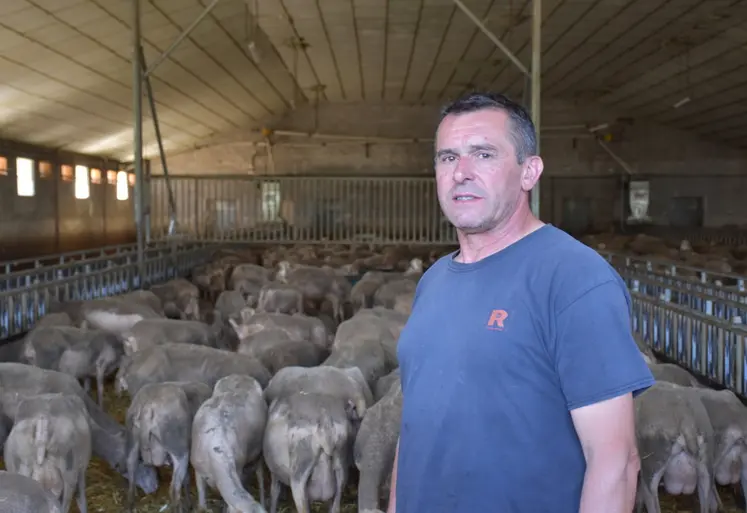 <em class="placeholder">Frédéric Boudou, éleveur ovin, dans sa bergerie avec ses lacaunes laitières.</em>
