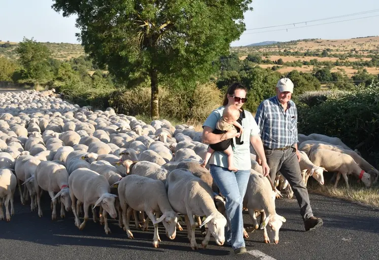 <em class="placeholder">Sophie et Bruno Pradel conduisent le troupeau sur une route.</em>
