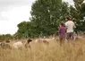 Barbara et Léo vendent tous leurs agneaux Landes de Bretagne en direct et misent sur un système en autonomie, basé à 100% sur le pâturage.