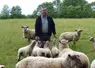 Gérard Leguay au milieu de ses agneaux