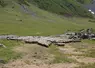 Troupeau de brebis dans les Alpes