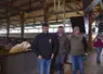 <em class="placeholder">Florent et Charles Souyris et Philippe Galtier, Gaec de Cuzomes</em>