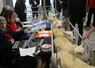 Commissaires ovins au Salon de l'Agriculture