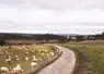 <em class="placeholder">La route longe la parcelle où pâturent les brebis</em>