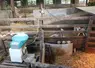 Distributeur automatique de lait pour agneaux
