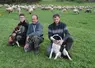 Trois hommes avec deux chiens, assis dans l'herbe, et des brebis dans le fond.
