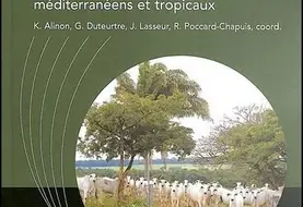 <em class="placeholder">Elevages et pâturages sous tension - Nouveaux regards sur les territoires méditerranéens et tropicaux (Ed. Quae)</em>