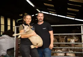 <em class="placeholder">Nans et Céline Marcel ont choisi la race Romane au moment de leur installation en 2024 sur 40 ha de SAU.</em>