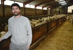 <em class="placeholder">Julien Cazottes dans sa bergerie.</em>