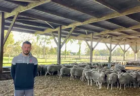 Un éleveur se tient dans une bergerie.