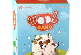 <em class="placeholder">Boite de jeu Wool Gang.</em>
