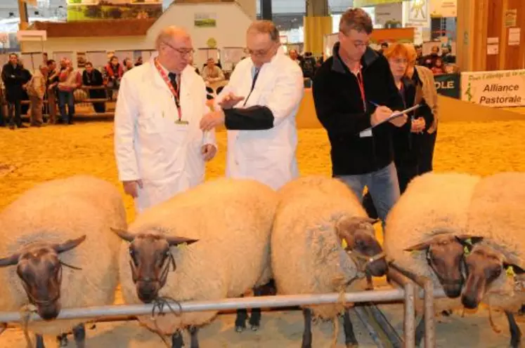 Le prix de championnat laines mâles en laine a été remporté par Didier Foubert de Bazougers (53)