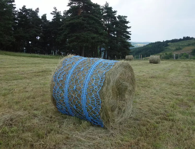 Dentelle sur botte de foin