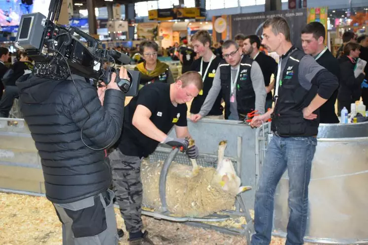 Avec les épreuves en région, les Ovinpiades ont permis à plus de 5 000 élèves ces quatre dernières années de s’intéresser concrètement à la production ovine.