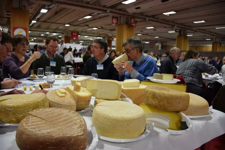 Plus de 900 jurés pour déguster les fromages et produits laitiers à base de lait de vache, de chèvre ou de brebis.