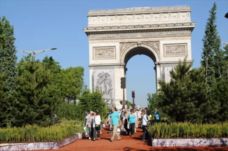 Vue sur l'arc de triomphe (Nature Capitale - Une création de Gad Weil)