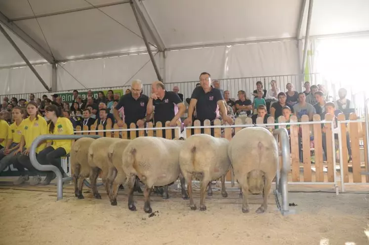 Les lauréats du prix d'ensemble