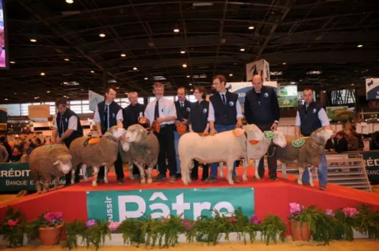 La race Ile-de-France, bien représentée au CGA, a aussi participé aux ovinpiades des jeunes bergers en offrant aux gagnants français et européen deux agnelles de la race.