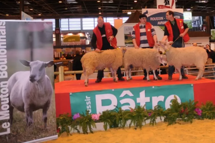 Podium des Boulonnais