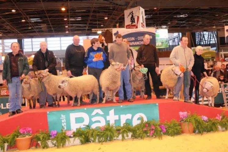 Les races normandes Cotentin, Avranchin et Roussin