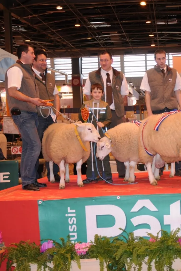 La race Texel