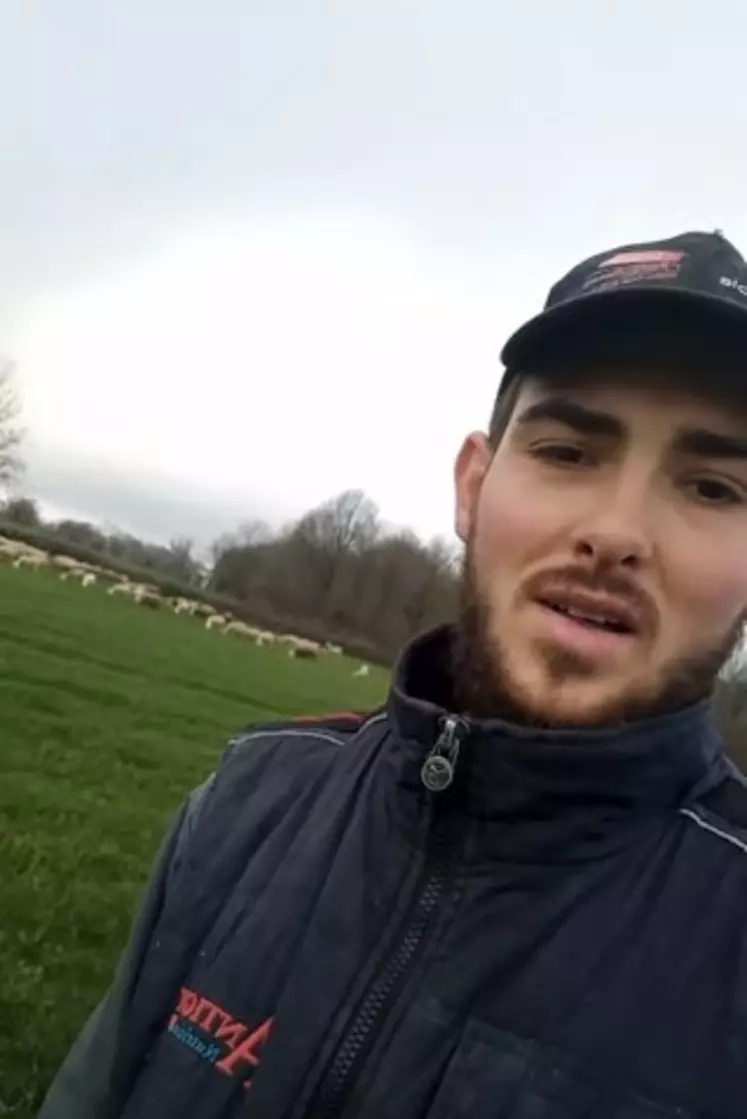 Julien, jeune éleveur ovin nous présente son élevage dans le cadre du projet "Au coeur de l'agri"