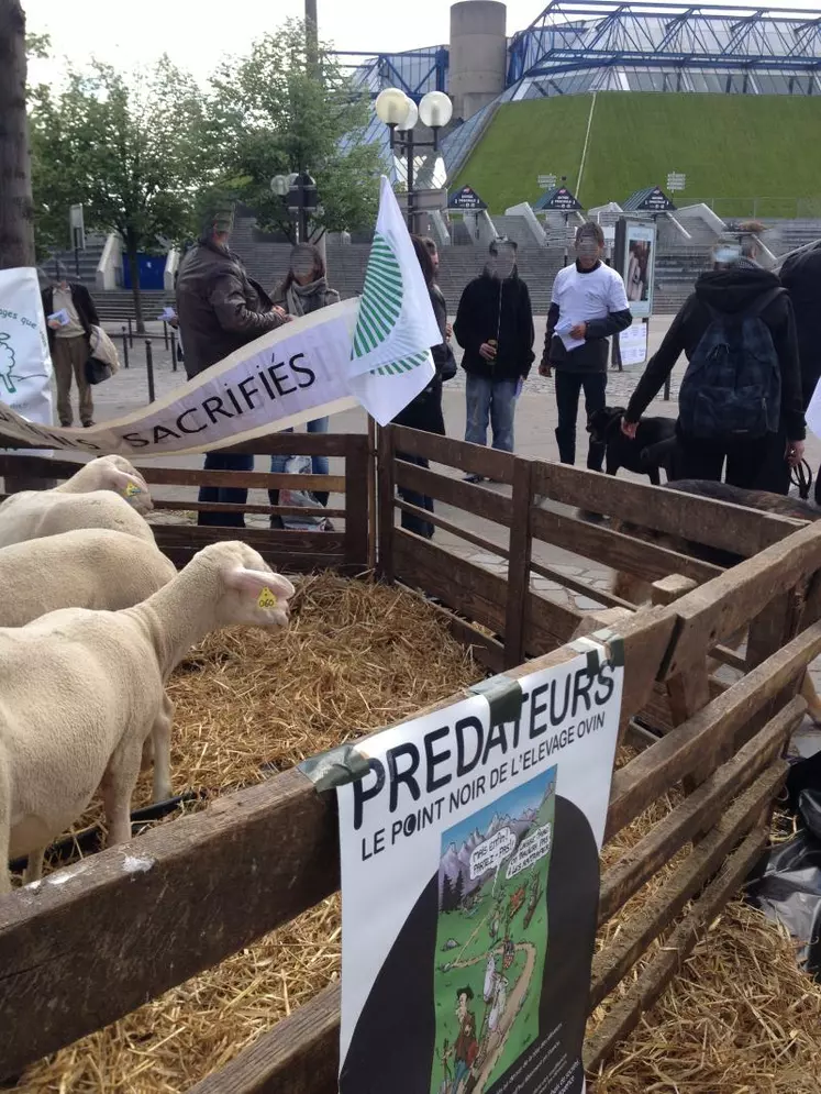 Les éleveurs ovins sont appelés à se mobiliser les 25, 26 et 27 novembre 2014.