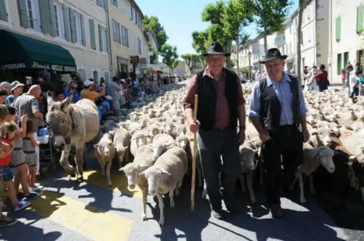 Les éleveurs organisateurs de la fête de Saint-Rémy de Provence en 2011