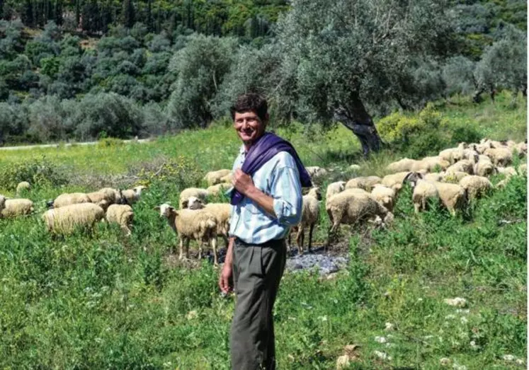 Berger grec près d'Agrinio,  les brebis pâturent une bonne partie de l'année.