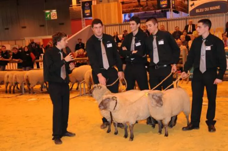 Concours Mouton Vendéen lors du SIA 2010