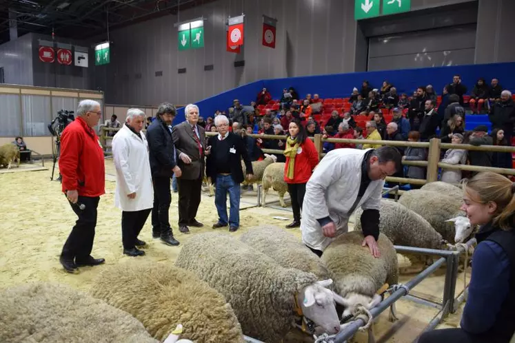 Concours général agricole