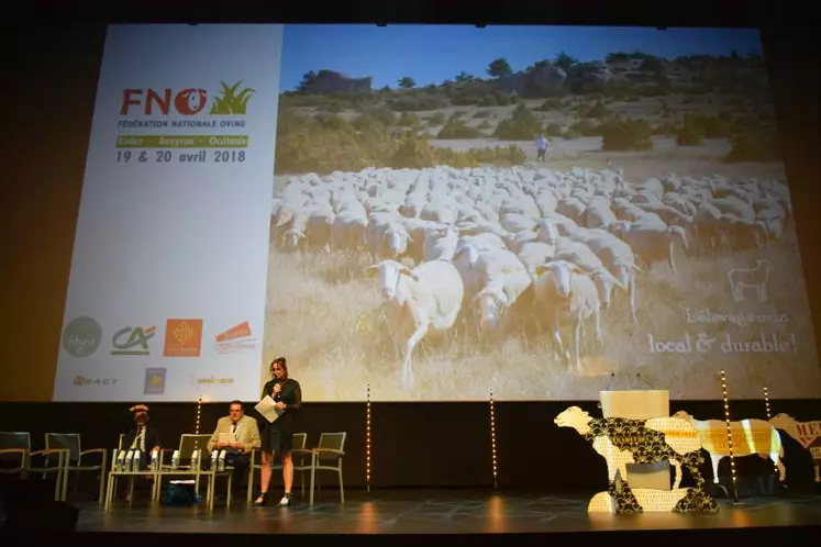 Michèle Boudoin, présidente de la FNO, a apprécié que "les gens se parlent sur la complémentarité des productions d'agneaux laitiers Lacaune et ceux du cheptel allaitant".