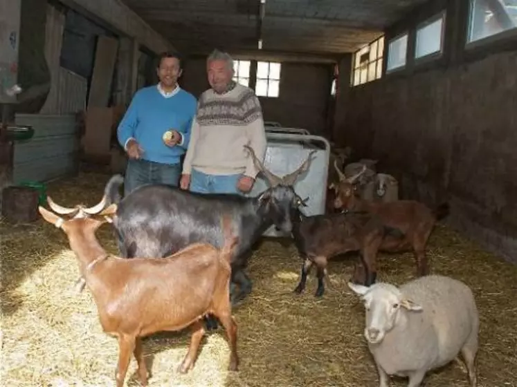 Coco Bonnardel, l’éleveur ovins de Mônetier les Bains, au pied du Galibier, a reçu Xavier Beulin et lui a présenté un bouc et une chèvre nés le jour de l’élection présidentielle de 2007 et qui ont pour nom, respectivement : Nicolas et Ségolène….