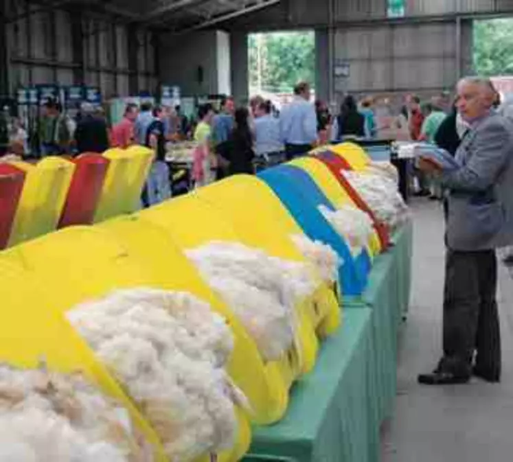 le wool board en Grande-Bretagne