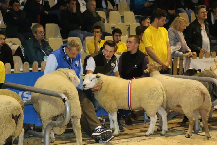 Conférence sur la prédation.