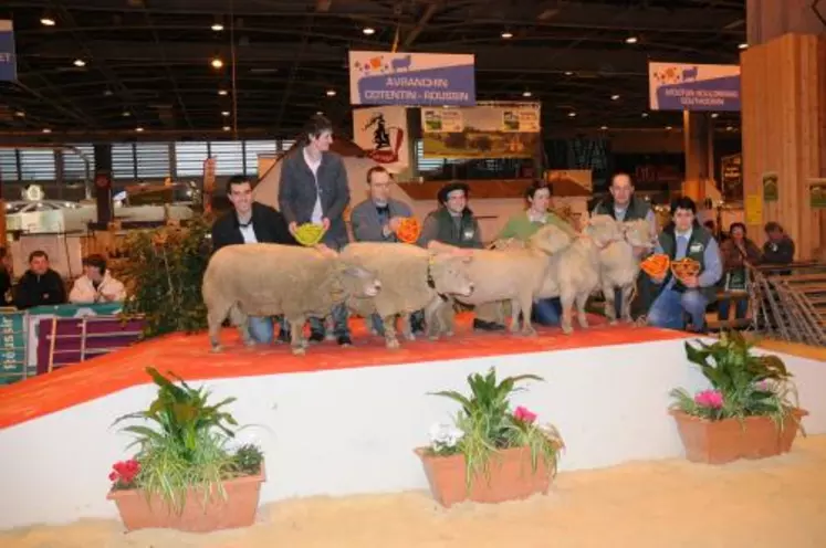 Le podium des Southdown