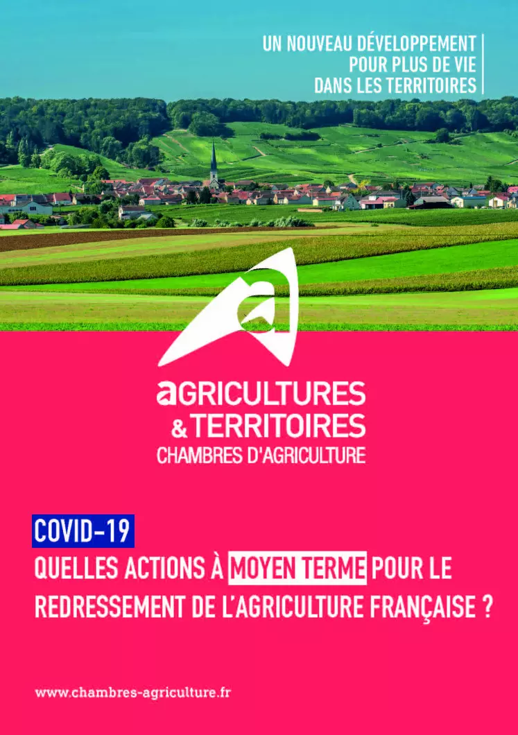 Covid-19 - Quelles actions à moyen terme pour le redressement de l'agriculture française ?