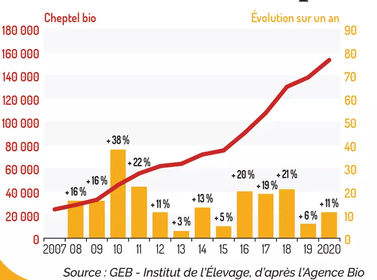 Le cheptel de brebis laitières bio a triplé en dix ans.