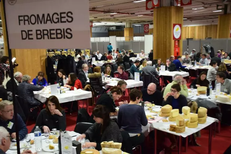 Le concours général agricole, catégorie fromages de brebis
