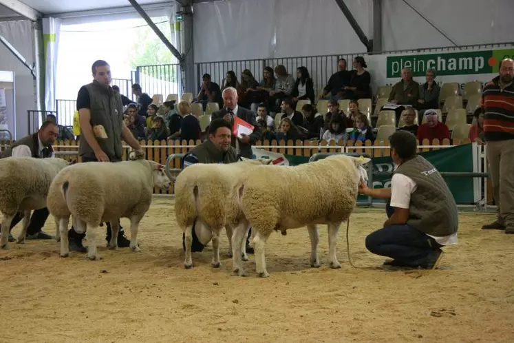 concours Texel le jeudi 2 octobre 2014