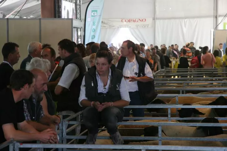 Remise du prix innovation organisée dans le cadre de la Reconquête ovine