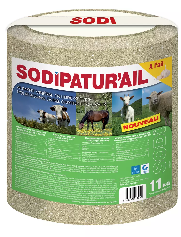 Son de blé (20kg) – Cérès, aliments pour chevaux, nous livrons sur